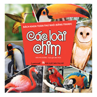 Bách Khoa Toàn Thư Nhỏ Bằng Tranh - Các Loài Chim