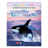 Bách Khoa Tri Thức Về Khám Phá Thế Giới Cho Trẻ Em - Cá Voi Và Cá Heo Tái Bản 2018