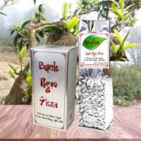 Bạch Ngọc Shan - Mầm trà Shan tuyết cổ thụ Suối Giàng