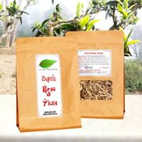 Bạch Ngọc Shan - Mầm trà Shan tuyết cổ thụ Suối Giàng