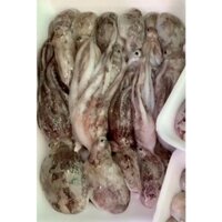 Bạch tuộc mini tươi ngon- 0.5kg