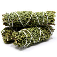 Bách Xù – Juniper (Bó 10-12 cm)