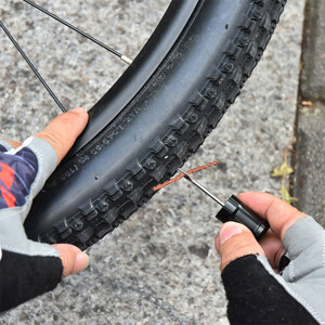 Vỏ không ruột  được và mất  Vietriders
