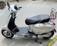 Baga sau Vespa lắp cho xe máy điện Pega
