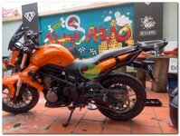 BAGA SRV XE BENELLI BN302/TNT300