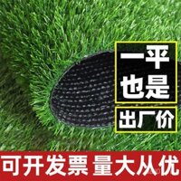 Bãi cỏ nhân tạo xuyên biên giới trang trí ngoài trời cỏ nhân tạo viền nhựa thảm xanh cỏ giả bãi cỏ mẫu giáo