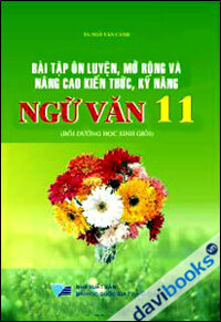 Bài tập ôn luyện mở rộng và nâng cao kiến thức kỹ năng Ngữ Văn 11 Bồi Dưỡng Học Sinh Giỏi
