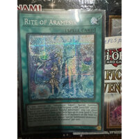 bài yugioh: rite of aramesir