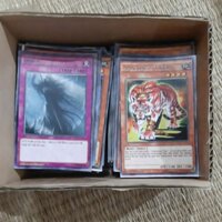 Bài yugioh Tiếng Việt và Tiếng Anh