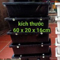 Baki lọc hồ koi 3-4-5 tầng kt 60 x 20 x 16cm 0333.333.596