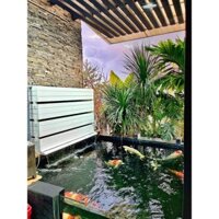 Baki Lọc Nước Composite Đen/Trắng 3 Tầng - full vật liệu Chất Lượng Cao Cho Hồ Cá Koi - Kích Thước 65x25x20cm