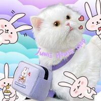 Balo con thỏ tím kèm dây dắt cho chó mèo