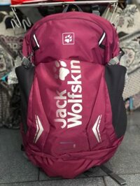 Balo Leo Núi Jack Wolfskin 24