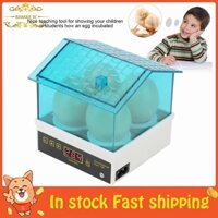 Bamaxis Máy Ấp Trứng Mini 4 Gián Lợi