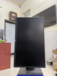 Bán 50 Màn hình máy tính Dell P2417H 23.8 inch