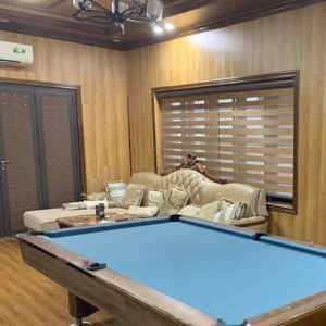 Bàn bi a Aileex 9018