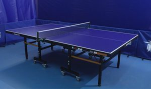 Bàn bóng bàn DoubleFish 201A