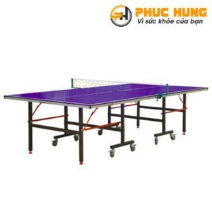 Bàn bóng bàn Doublefish 201V