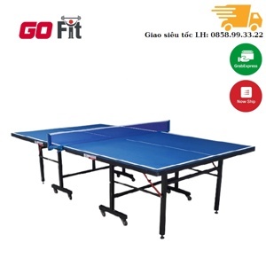 Bàn bóng bàn Đức Long PT-05