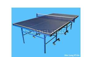 Bàn bóng bàn Đức Long PT 06
