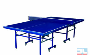 Bàn bóng bàn Đức Long PT 06