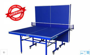 Bàn bóng bàn Đức Long PT-08