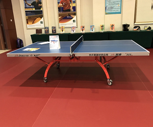 Bàn bóng bàn song ngư 323