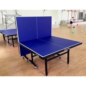Bàn bóng bàn Thiên Trường TT-003