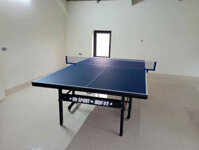 Bàn bóng bàn Vinasport MDF01