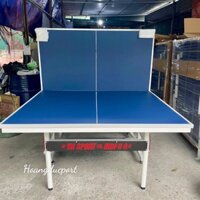 Bàn bóng bàn VN SPORT MDF 04 25mm  kèm cọc lưới bóng bàn