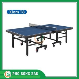 Bàn bóng bàn Xiom T8