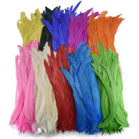 Bán buôn 50 Cái / lốc Lông Gà Trống Cho Hàng Thủ Công 30-35CM 12-14inch Đen Lớn Lông Gà Con Phụ Kiện Lễ Hội Trang Trí Quần Áo Trang Trí Đám Cưới