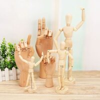 Bán buôn bàn tay khớp nối di động, phác họa cơ thể người, tượng gỗ, nghệ thuật vẽ bàn tay gỗ