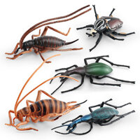 ★Bán buôn thời gian có hạn★Trẻ Em Nhận Thức Mô Phỏng Hoang Dã Côn Trùng Động Vật Bắn Pháo Bước Giáp Hoa Sừng Lớn Cánh Cứng Mô Hình Cricket Đồ Trang Trí Trẻ Em Quà Tặng