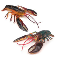 ❤Bán buôn thời gian có hạn❤Trẻ Em Mô Phỏng Động Vật Biển Boston Tôm Hùm Mẫu Mỹ Crayfish Maine Tôm Hùm Trang Trí Đồ Trang Trí Trẻ Em Quà Tặng