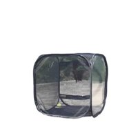 Bán Buôn Trong Suốt Nhựa Có Thể Gập Lại Lưới Bật Lên Trang Trại Bướm Môi Trường Sống Côn Trùng Lồng