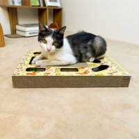 BÀN CÀO MÓNG CHO MÈO KÈM XÚC XẮC - MÃ 07