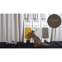 Bàn cào móng mèo