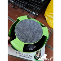 Bàn cào móng tròn