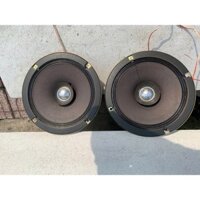 Bán cặp loa toàn dải đồng trục phễu Sony 21cm bãi nhật về hát rất chi tiết