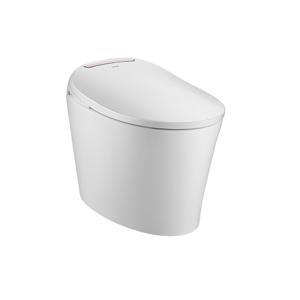 Bàn cầu 1 khối Fascination SW3091C1