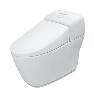 Bàn cầu 1 khối Inax AC-1032VN