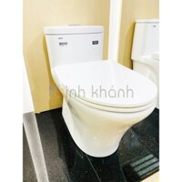 Bàn cầu 1 khối INAX AC-959 kết hợp nắp rửa thông minh CW-S15, CW-S32, CW-H18
