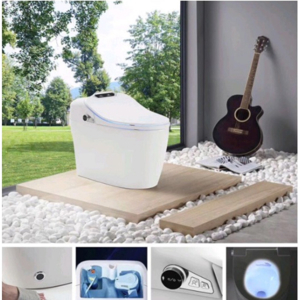 Bàn cầu 1 khối Kobesi KB-Q09