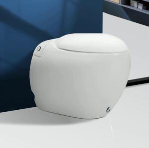 Bàn cầu 1 khối Kobesi KB-R33