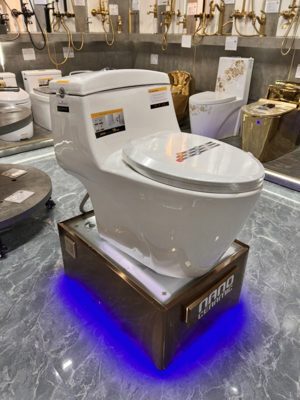 Bàn cầu 1 khối Kobesi KB-R90