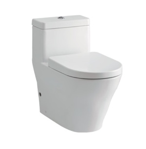 Bàn cầu 1 khối ToTo CW166B