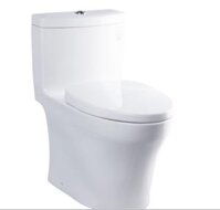 Bàn cầu 1 khối TOTO MS889DT3 ( MS889DRT3)