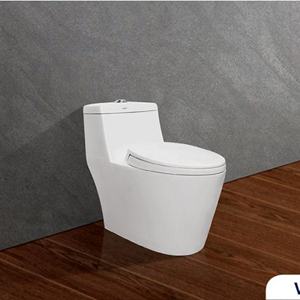 Bàn cầu 1 khối Viglacera V63