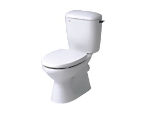 Bồn cầu Inax C-333VPTN - 2 khối